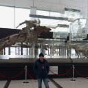 ���� ����, �������, 38 ��� - ��������� 18 ����� 2024 � ������ ���� ����������