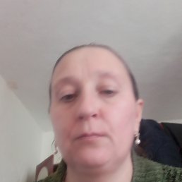 , 40, 