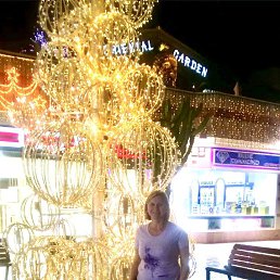 �������, 44 ����, ������