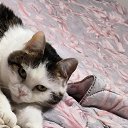   ** 193+*,  -  26  2025    