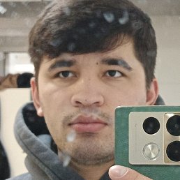 Shohin, ������, 26 ���