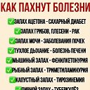 ���� Sss, ����� - ��������� 12 ��� 2026 � ������ �������� �����.�