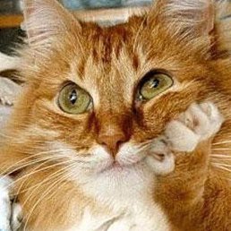 ����, ���������, 34 ����