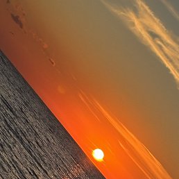 ������, ���������� �����, 38 ���