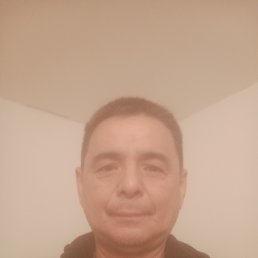 , 51, 