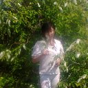 ���� ��������, �������, 35 ��� - ��������� 12 ������� 2026 � ������ ���� ����������