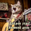 ���� ������, ������, 41 ��� - ��������� 15 ������ 2025 � ������ ���� ����������
