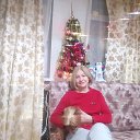 ���� ��������, ������, 72 ���� - ��������� 13 ������ 2026