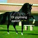 ���� Samarqand, ������, 26 ��� - ��������� 6 ������� 2023 � ������ ���� ����������