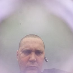 ������, ������, 42 ����