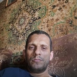 , 41 , 