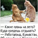 ���� �������, ����, 43 ���� - ��������� 5 ������ 2026 � ������ ������ ��������