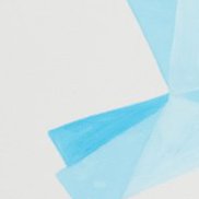 ���������, 29 ���, �����������