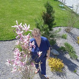 ���� ����������, �������, 62 ���� - ��������� 15 ������� 2025