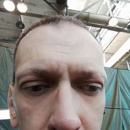 ������, 50 ���, �����������