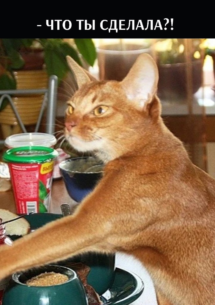       - 9  2025  16:03 - 2