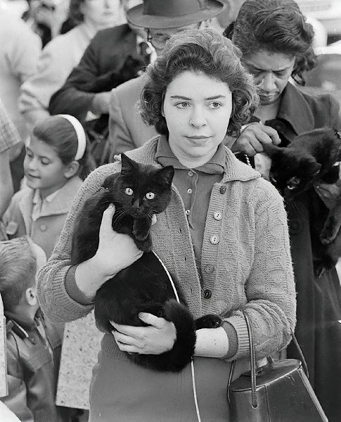     , 1961 