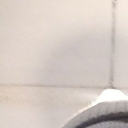 ������, ������, 54 ����