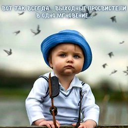 ���� �����, ����������, 61 ��� - ��������� 16 ������ 2026