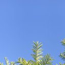 ���� ������, ������, 60 ��� - ��������� 28 ������ 2023 � ������ ������ ��������