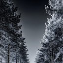 ���� ����, ���������, 33 ���� - ��������� 5 ������ 2026 � ������ ������ ��������