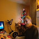 ���� ������, ������ ��������, 66 ��� - ��������� 25 ����� 2026