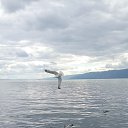 ���� ���, �����, 60 ��� - ��������� 7 ������ 2024 � ������ ������� -������ 2022 ����.�