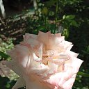 ���� �������, ���������, 63 ���� - ��������� 22 ���� 2025 � ������ ���� ����������