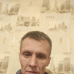 ������, 43 ����, ������������