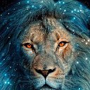 ���� ����, ��������, 66 ��� - ��������� 7 ������ 2026 � ������ ���� ����������