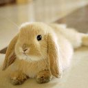 ���� ���������, ���������, 39 ��� - ��������� 6 ������� 2024 � ������ ���� ����������