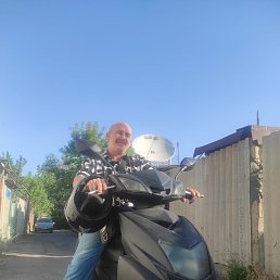 , 53, 