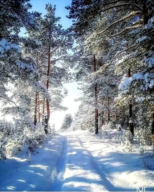 ��� ���� - 23 ������� 2025 � 15:30