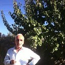  Sargis, -, 56  -  14  2025