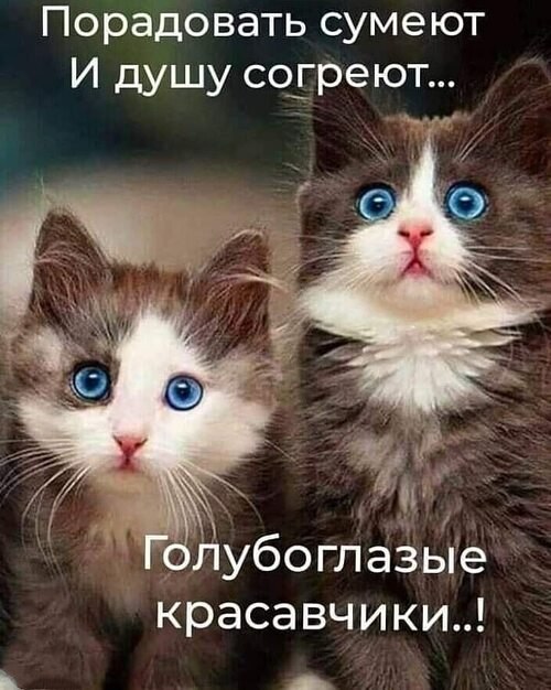 Всё будет хорошо! - 30 октября 2025 в 18:45