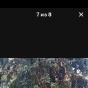 ���� ������, ����������, 54 ���� - ��������� 3 ������� 2025 � ������ ���� ����������
