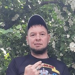 ������ ������, �����-���������, 41 ���