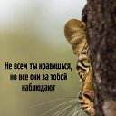 ���� Gala, ������ - ��������� 15 ������ 2025 � ������ ���� ����������