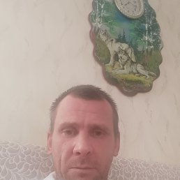 ���� ������, ������, 46 ��� - ��������� 21 ����� 2026