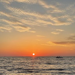 ���� �����, ���������, 40 ��� - ��������� 1 ����� 2024