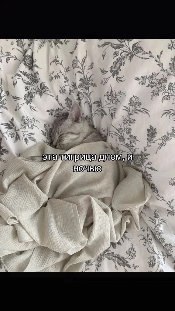 . - 13  2025  08:37 - 2