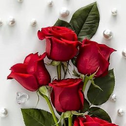 ����, �����-���������, 39 ���