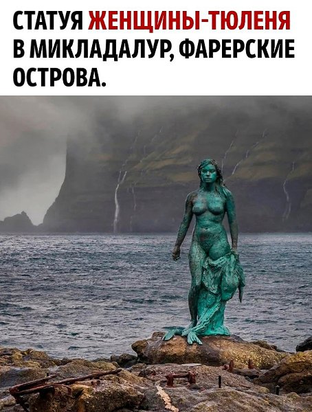 ��� ����� ����������� ������