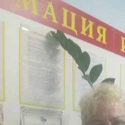 �������, ������, 67 ���