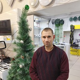 �����, 33 ����, ������