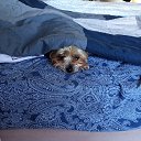 ���� @L�na, ���������, 50 ��� - ��������� 28 ������ 2025 � ������ ������ ��������