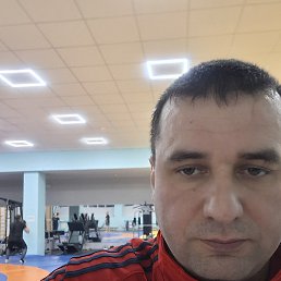 �����, �������, 40 ���