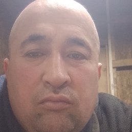 ������, �����-���������, 42 ����