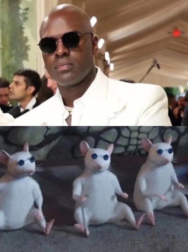  o   ,    Met Gala 2024  oc  - 6