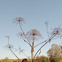 ���� ������, �������, 58 ��� - ��������� 13 ���� 2024